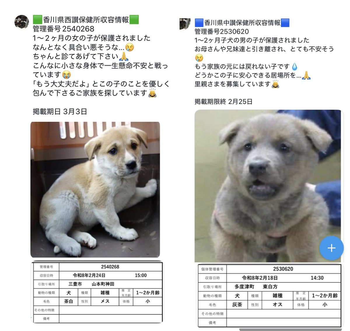 No more culling! tweet media