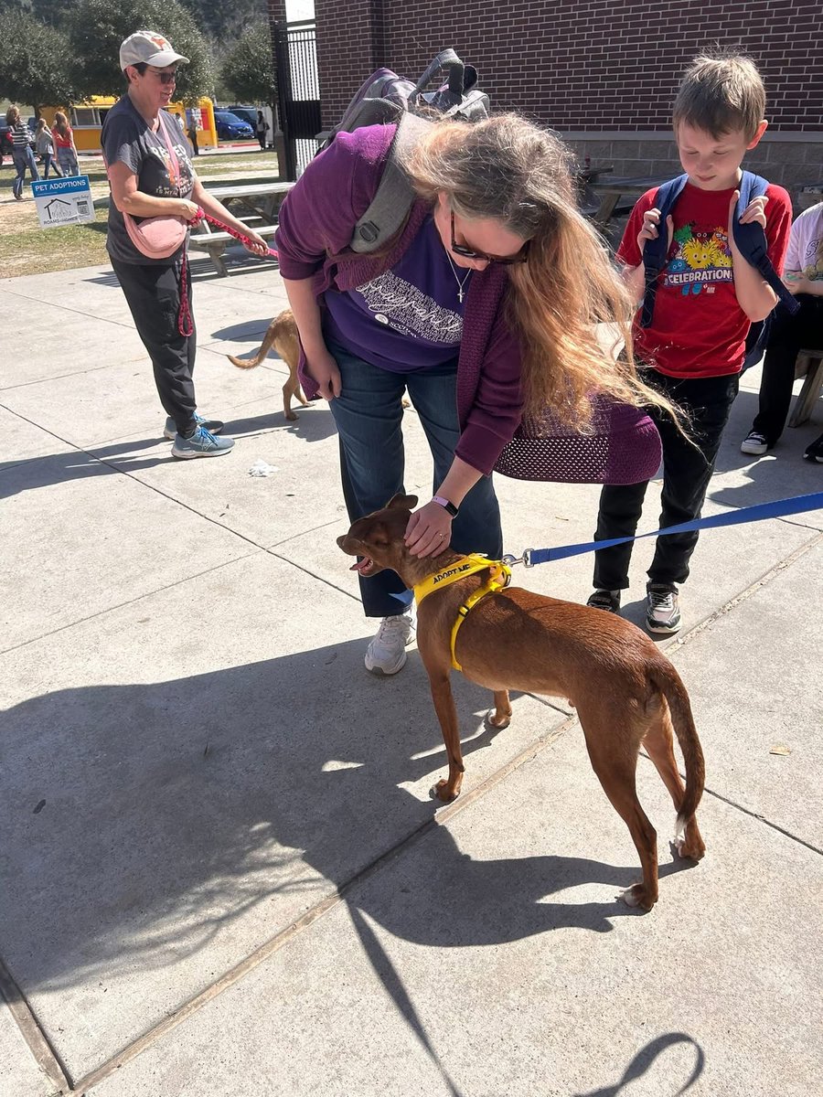 ConroeVisualArt's tweet photo. Region 6 VASE therapy and rescue pups were on site to enjoy the day with our students! @TXarted https://t.co/ScrRcQOgs2