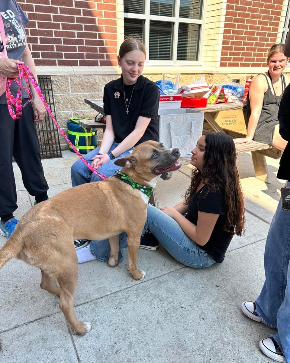 ConroeVisualArt's tweet photo. Region 6 VASE therapy and rescue pups were on site to enjoy the day with our students! @TXarted https://t.co/ScrRcQOgs2