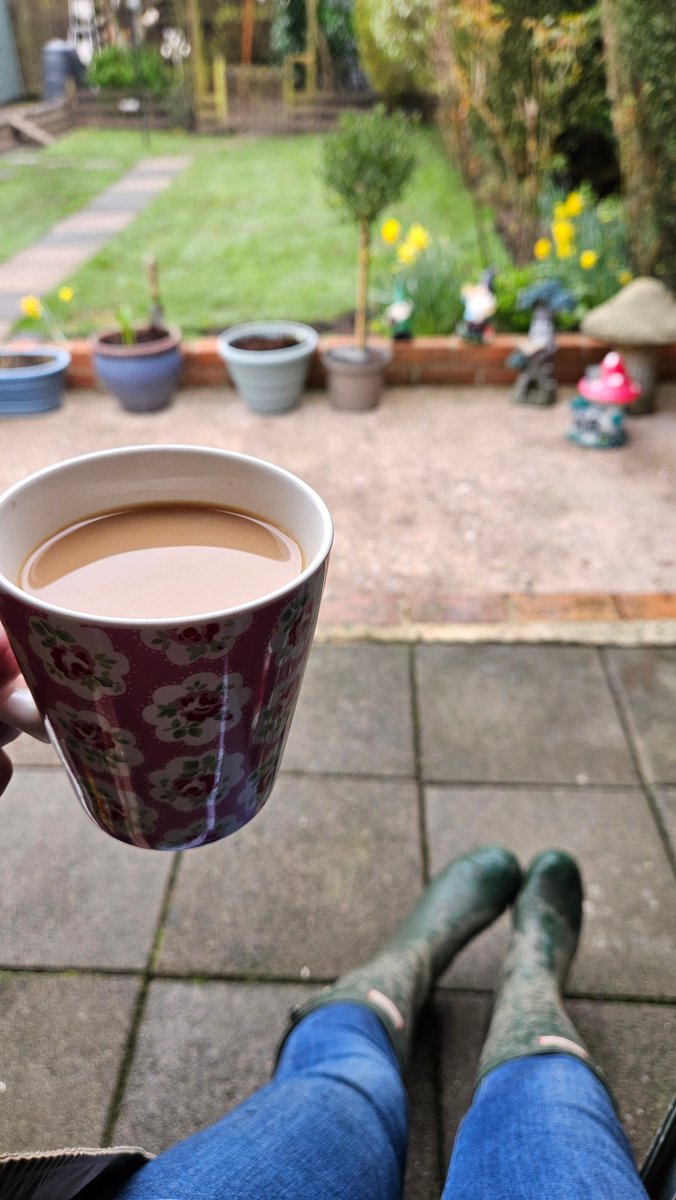 Anita💚✨️ tweet media