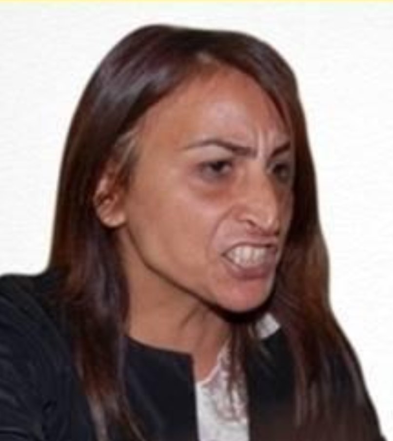 MuhendisJargonu's tweet photo. @SHACV69 @MosabHasanYOSEF A pkk supporter. https://t.co/4zuiFZ9DmM