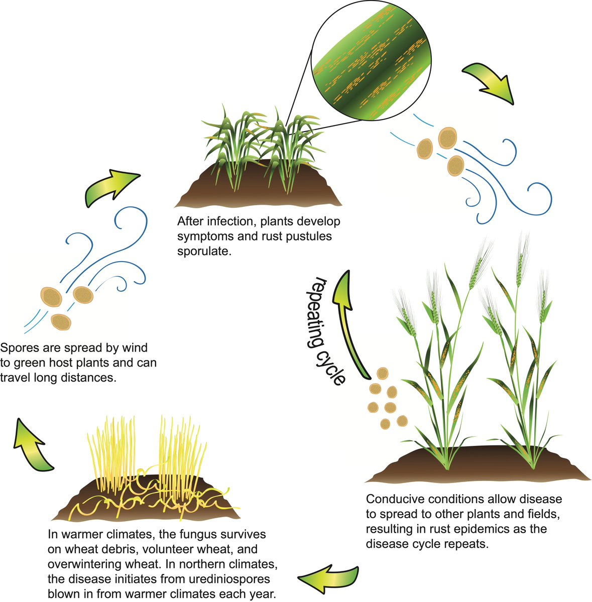 Crop Protection Network tweet media