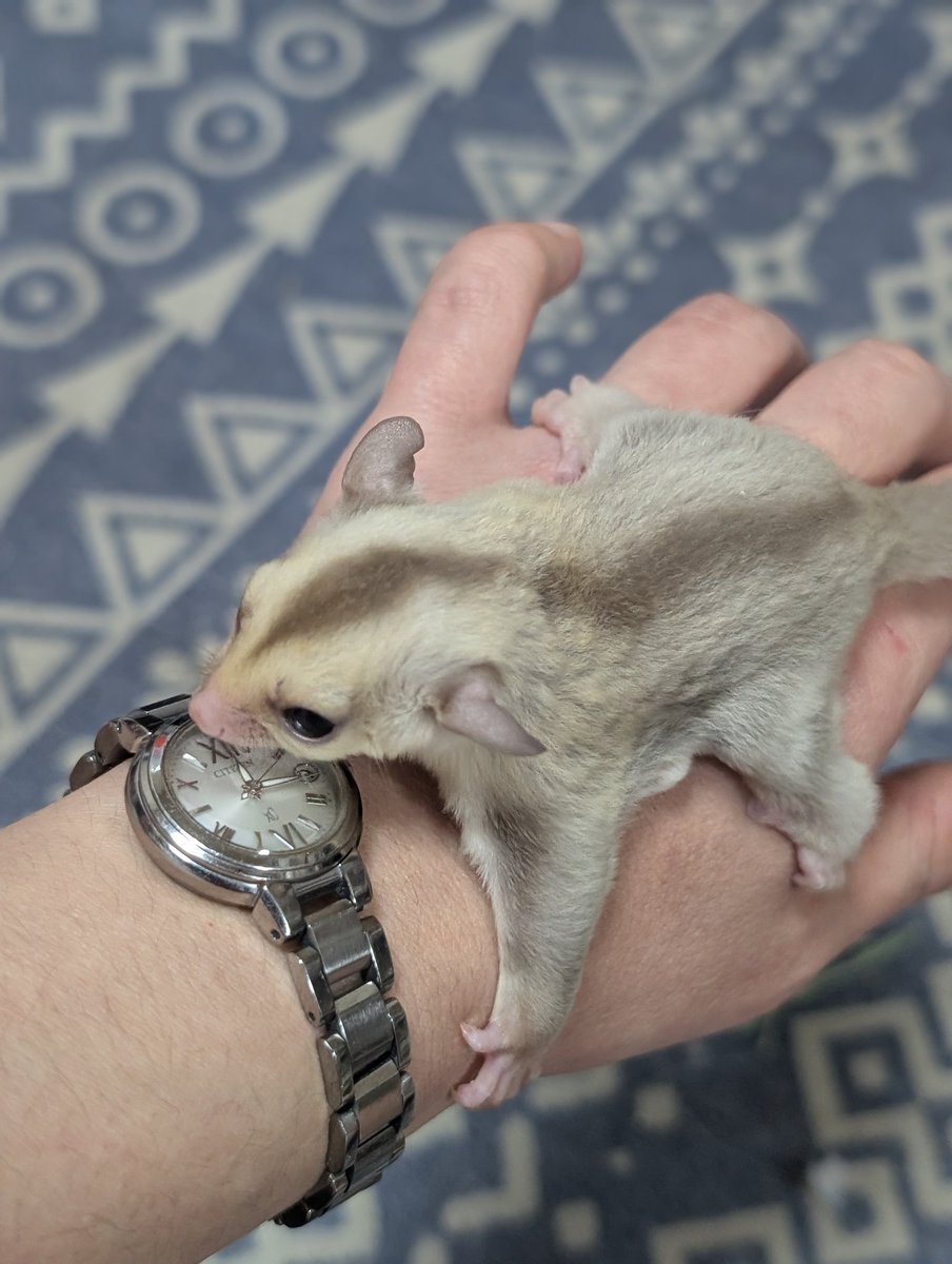 Famille Fun tweet media