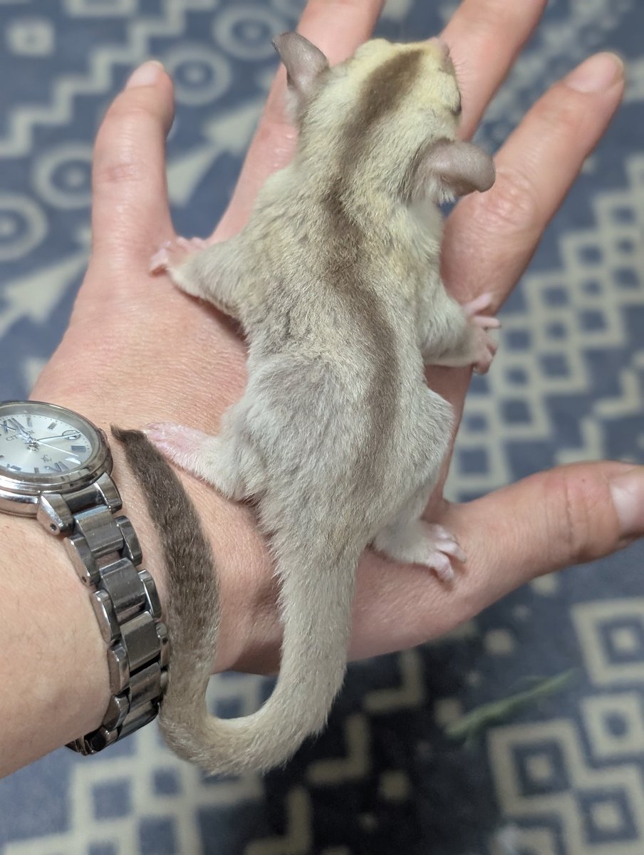 Famille Fun tweet media