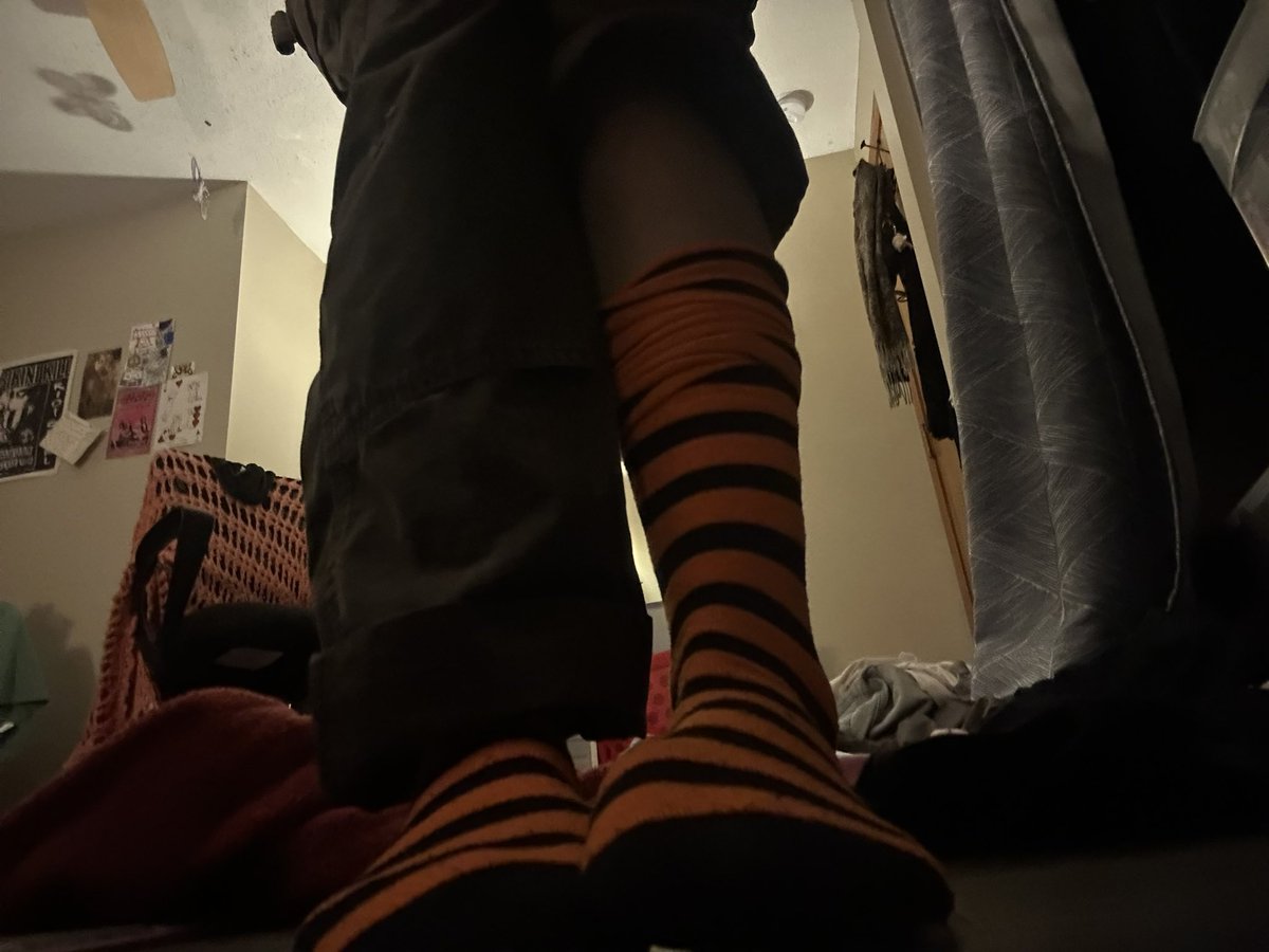 fluridad's tweet photo. laundry situation is so dire im wearing the south high tiger pride socks today https://t.co/JoPSfPcDzl