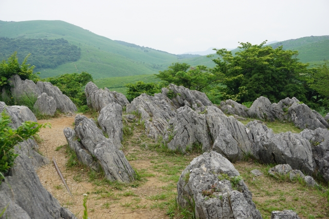 Ambassade du Japon au Sénégal tweet media