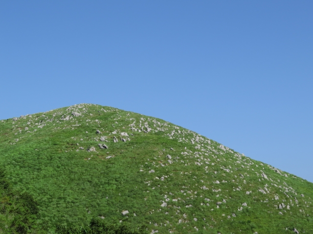 Ambassade du Japon au Sénégal tweet media