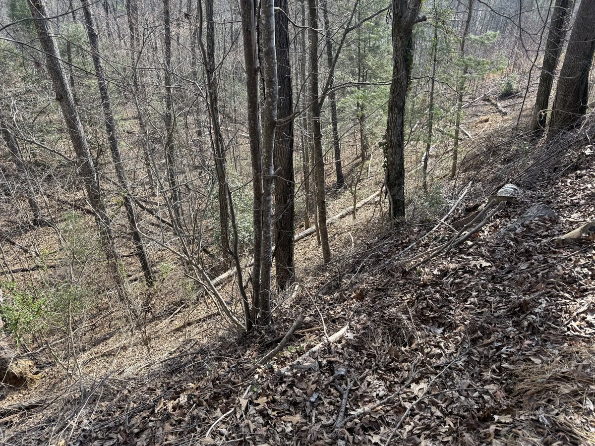 CuriousCars tweet media