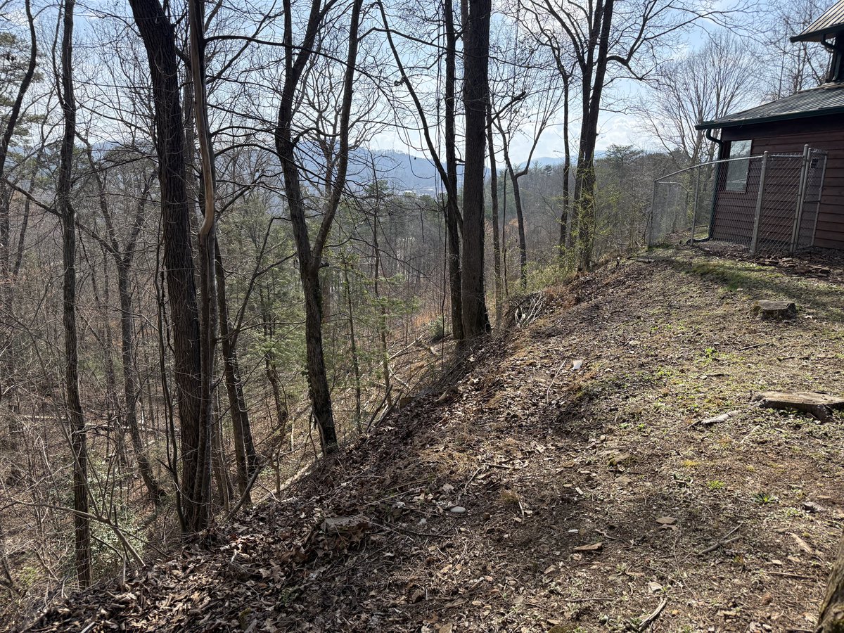 CuriousCars tweet media