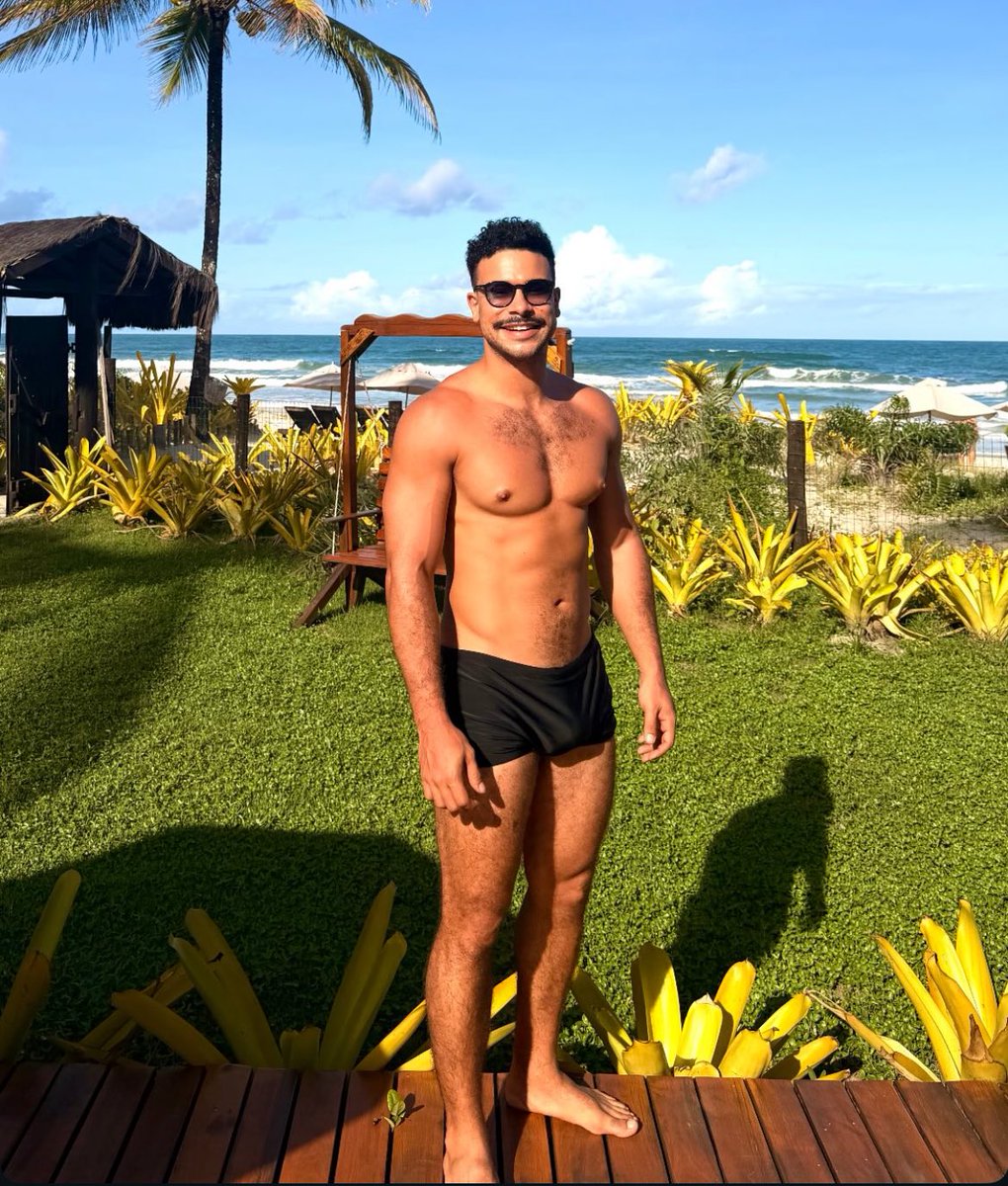 Dan Pimpão tweet media