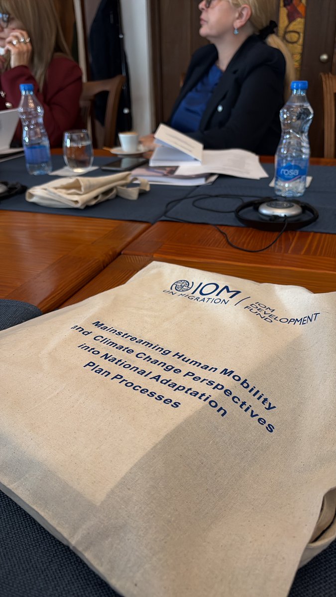 IOM Development Fund tweet media