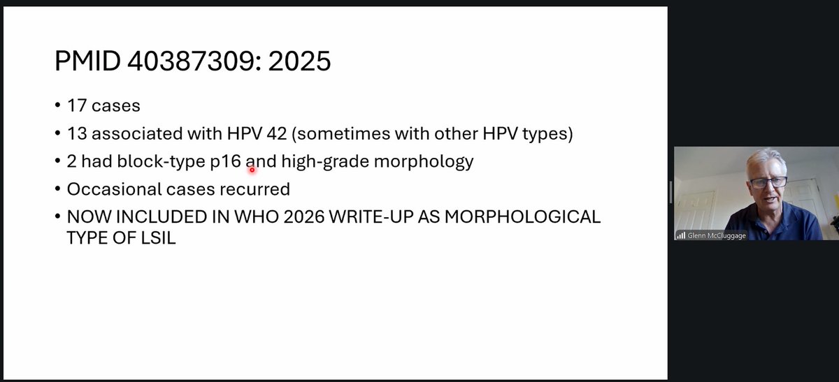 The British Assoc of Gynaecological Pathology tweet media