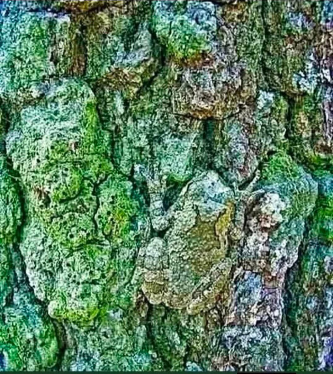 PensamientosX tweet media