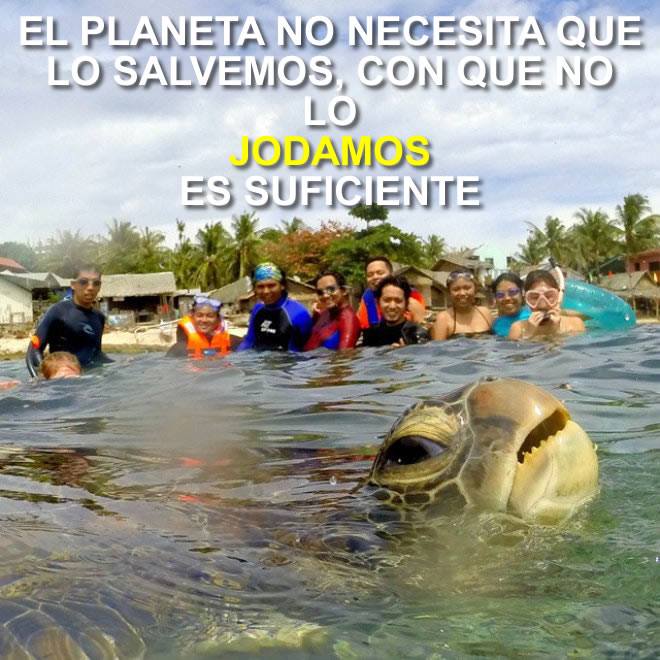 🌊 La naturaleza no necesita héroes… necesita respeto.