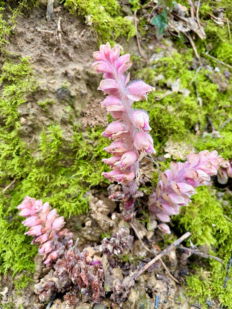 Angela Pendleton tweet media