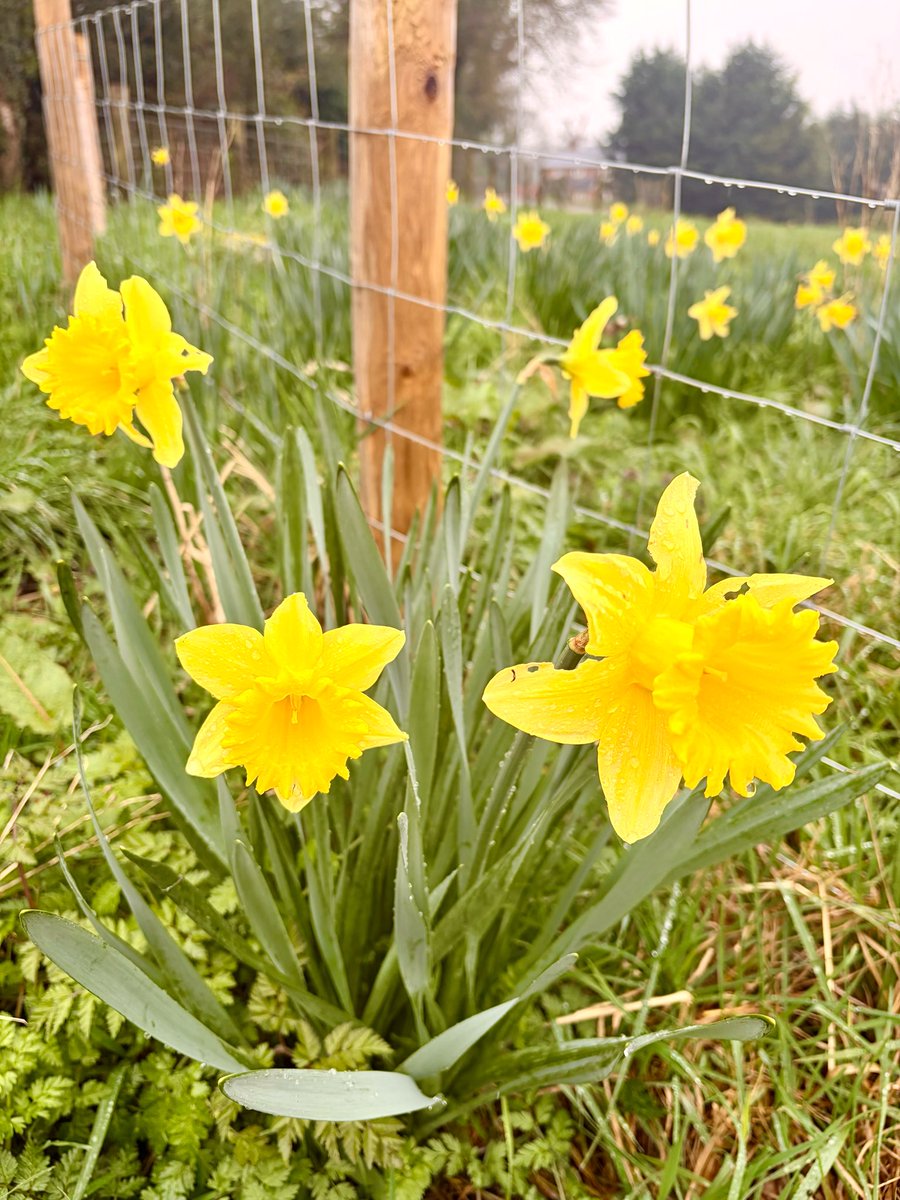 Angela Pendleton tweet media