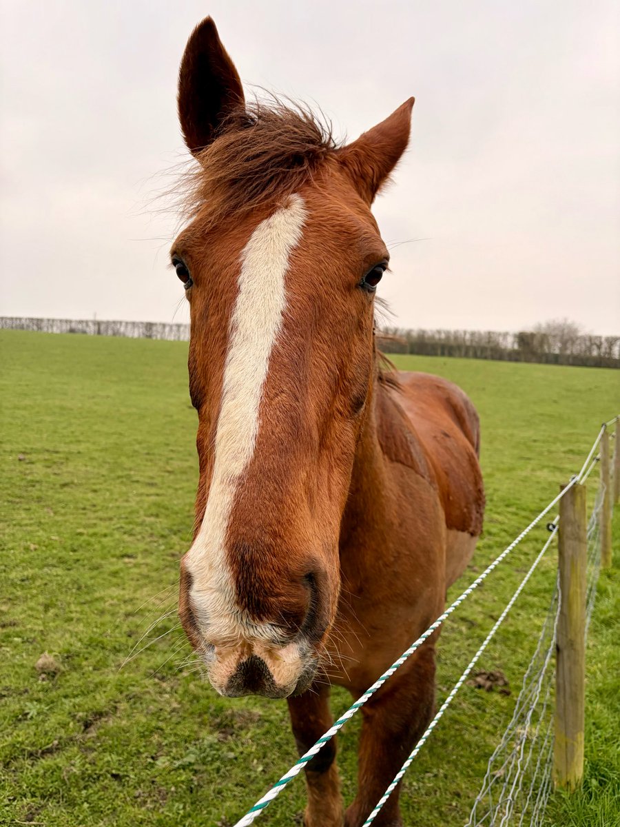 Angela Pendleton tweet media