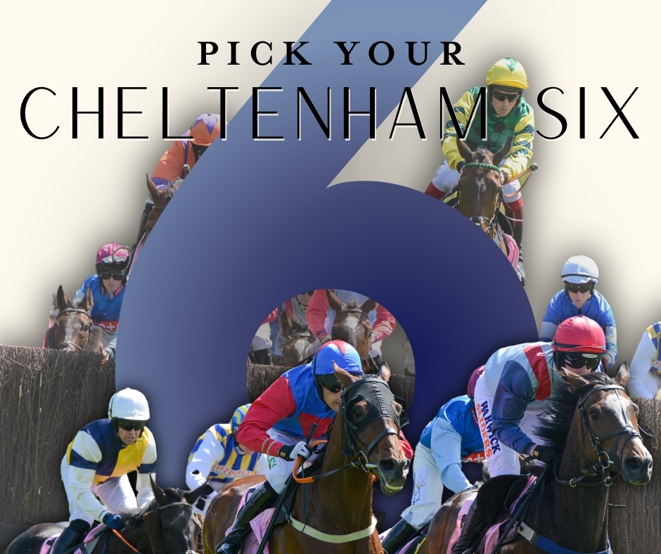 Cartmel Racecourse tweet media