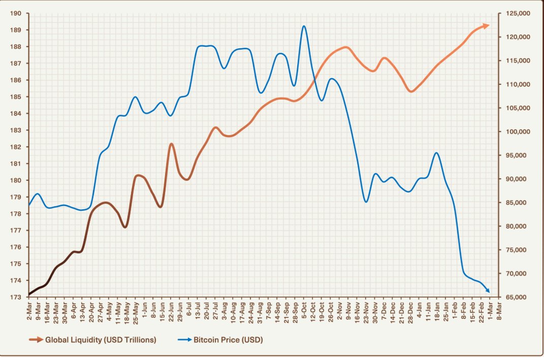seliseli46 tweet media