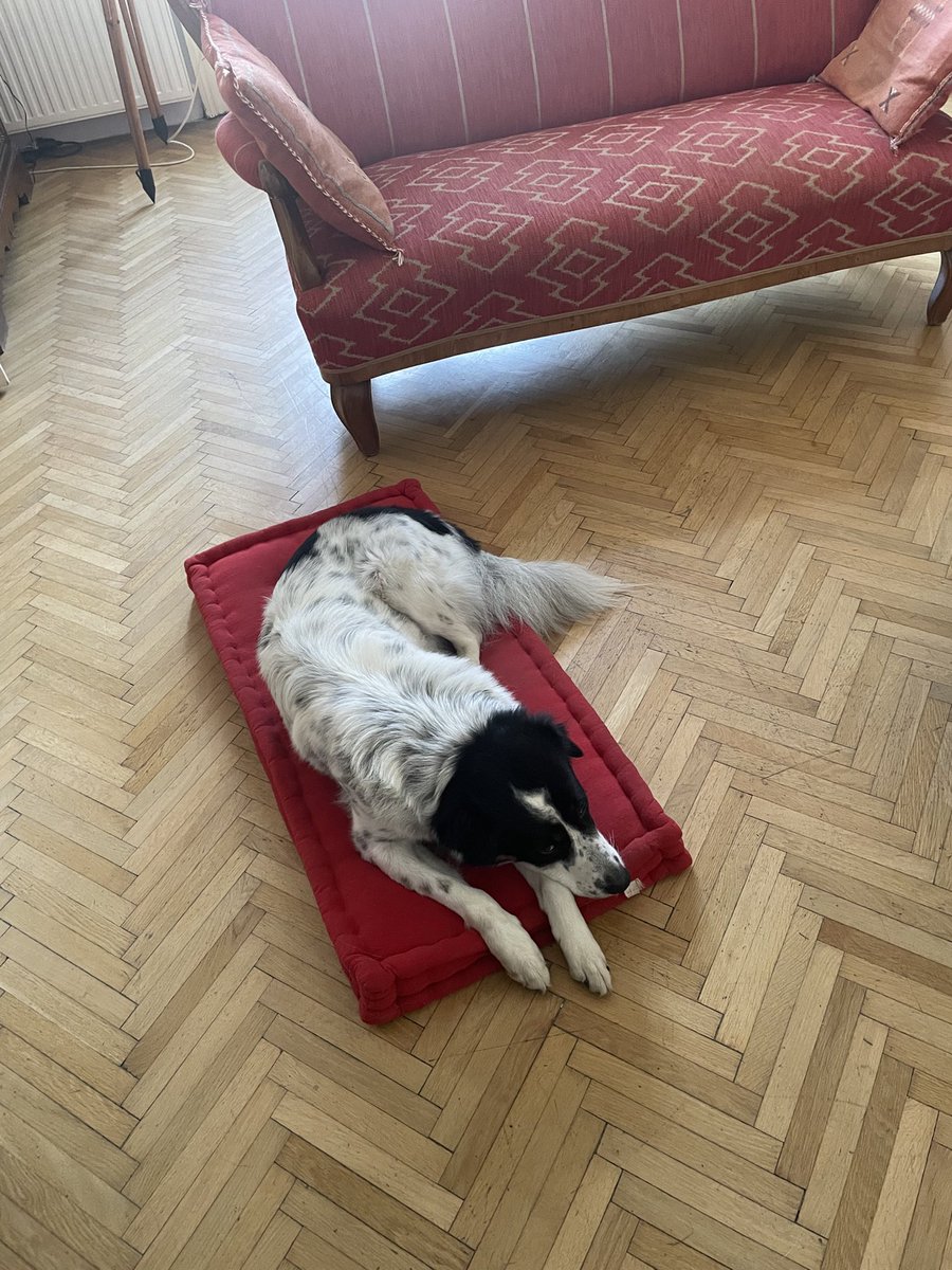 Christoph Tamussino tweet media