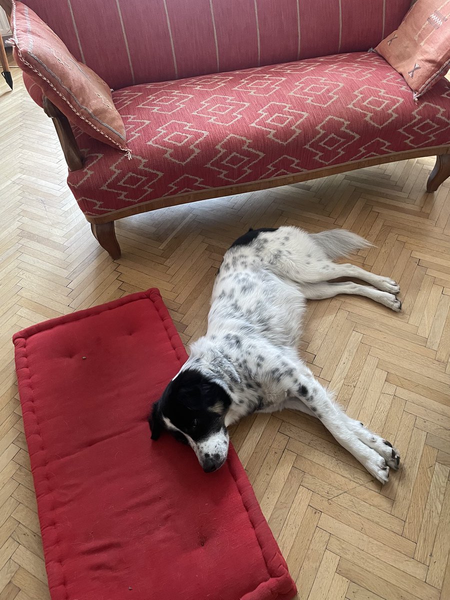 Christoph Tamussino tweet media