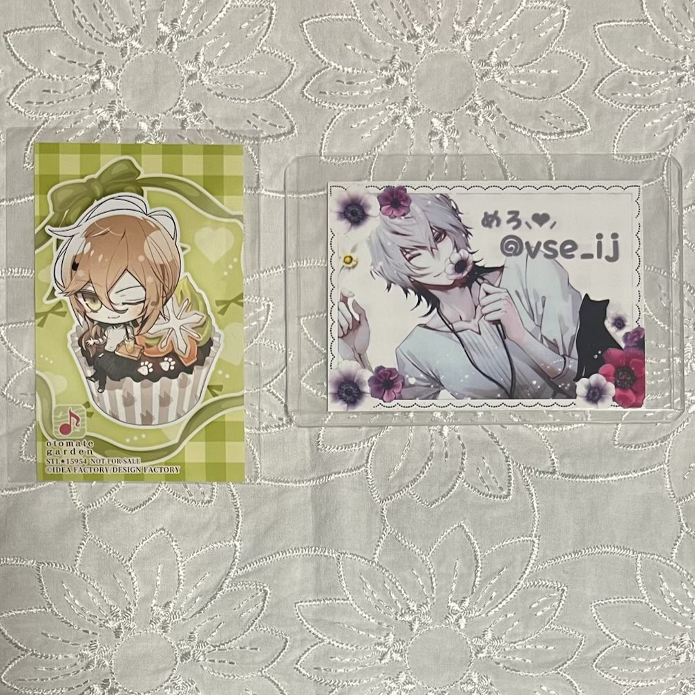 めろ‎ℂᑋᵃᵑ٭¨̮ tweet media