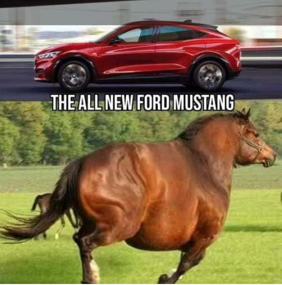 Tuukka Valtonen tweet media