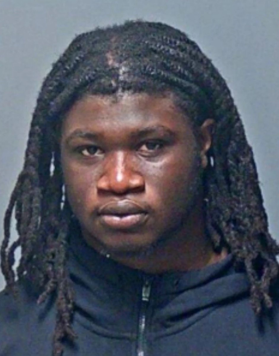 B Lou Updates 🌟 tweet media