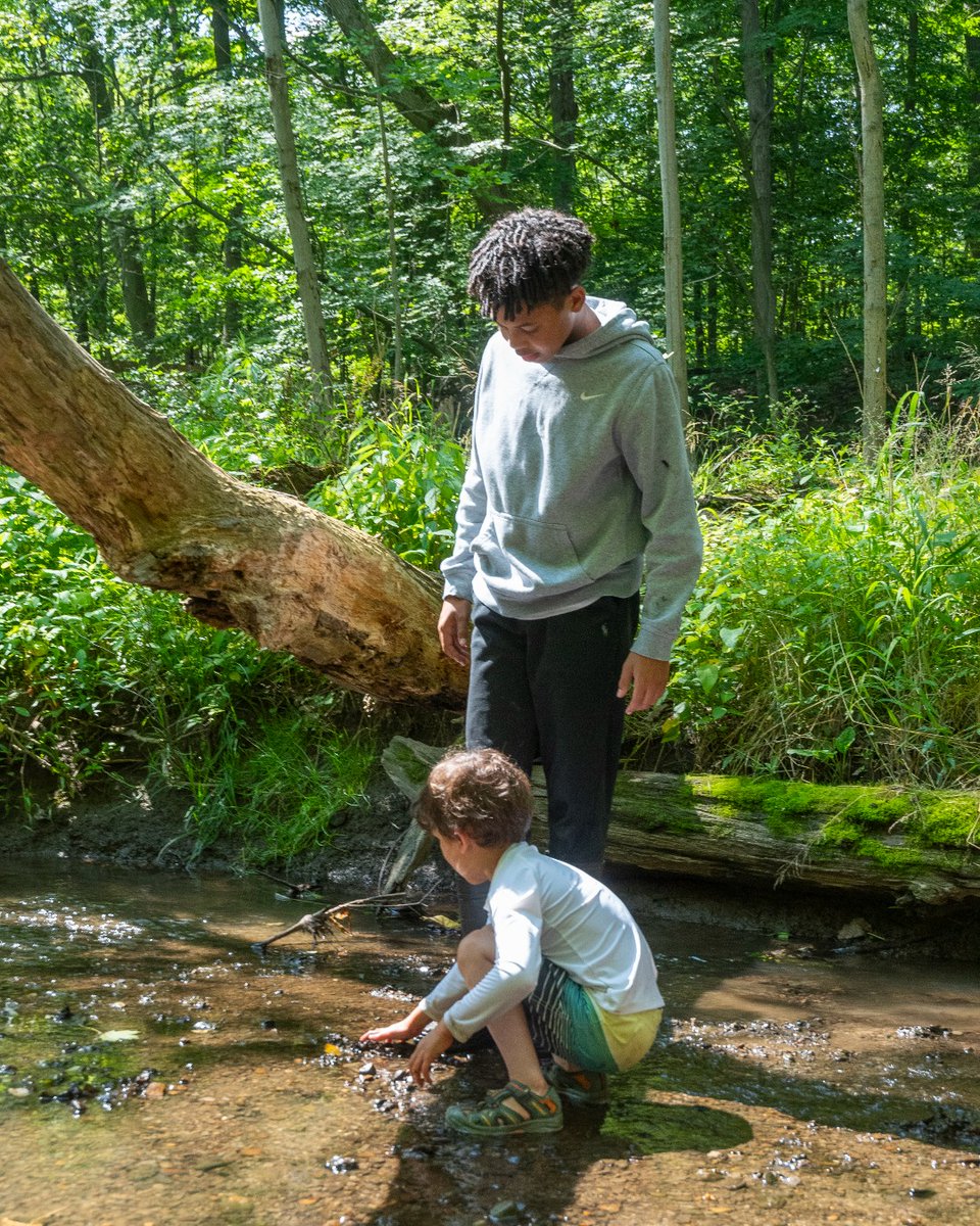 ShakerLakes tweet media