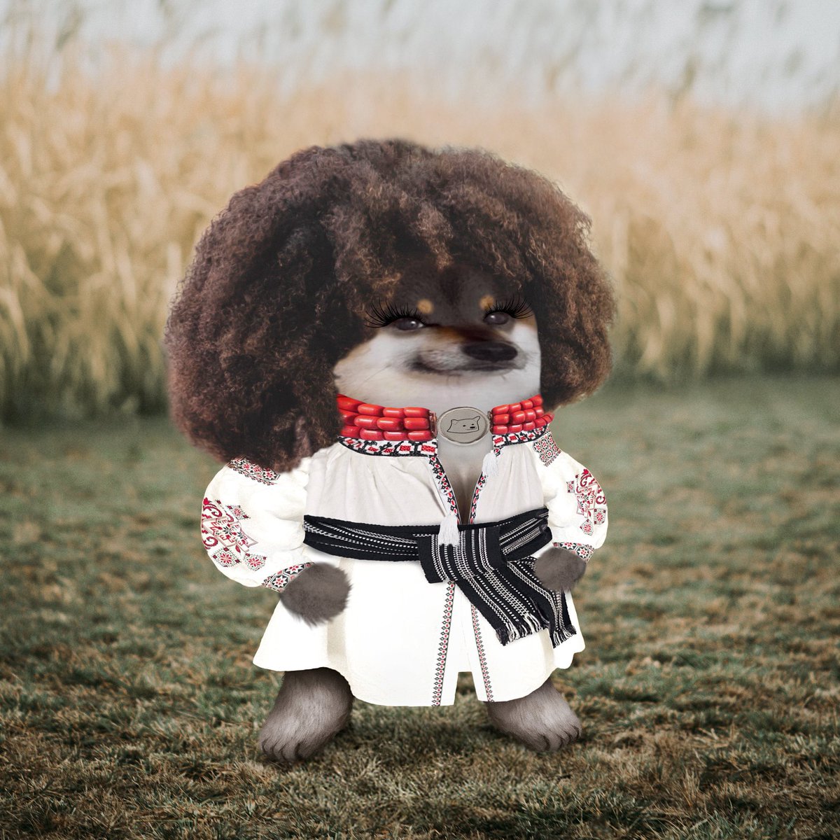 An Afro fella 🥰 as my first official fella  she’s just like me in all her elements ❤️

This is amazing. Thank you @nmlss_hr4_vrmr for making this!
Thank you <a href="/goblin__soup/">goblin🇺🇦</a> 
I love it. #NAFO