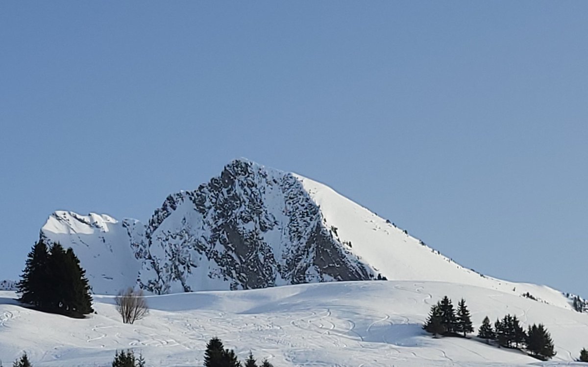 Stéphane Dufournet tweet media