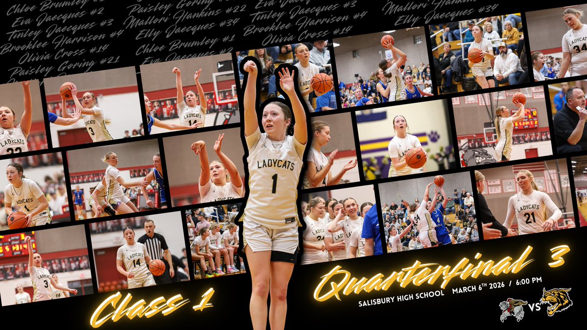 Ladycats Basketball tweet media
