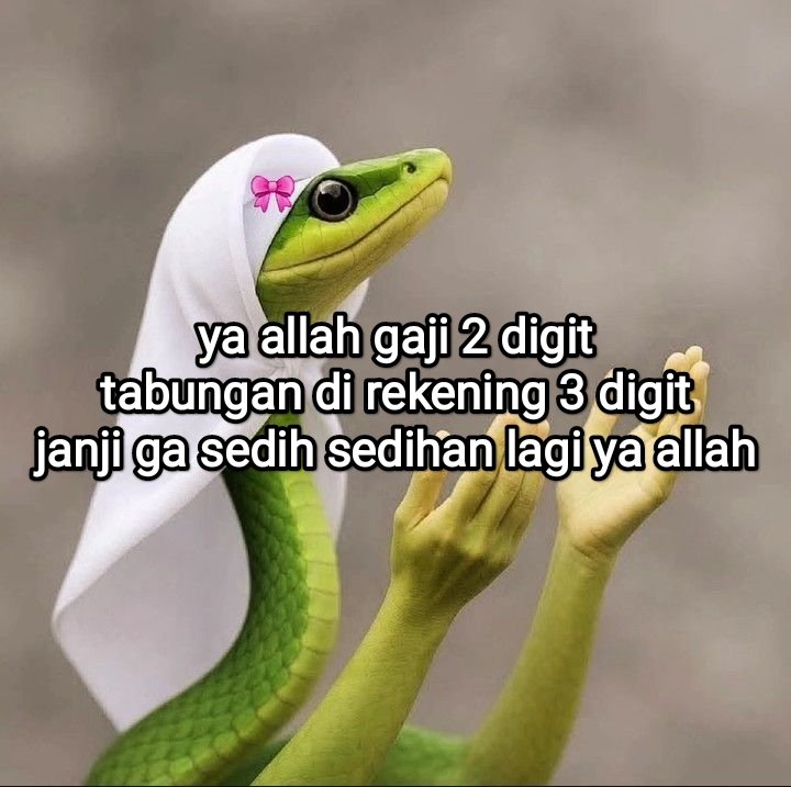 el (@halupulisi) on Twitter photo 