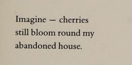 Isidro Li tweet media