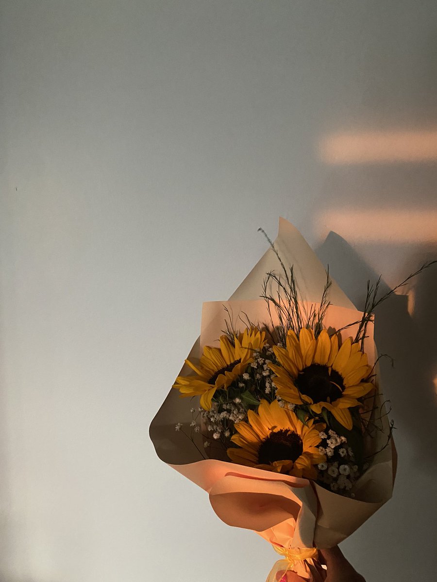 edakavall's tweet photo. 💛 https://t.co/4CpqAICukm