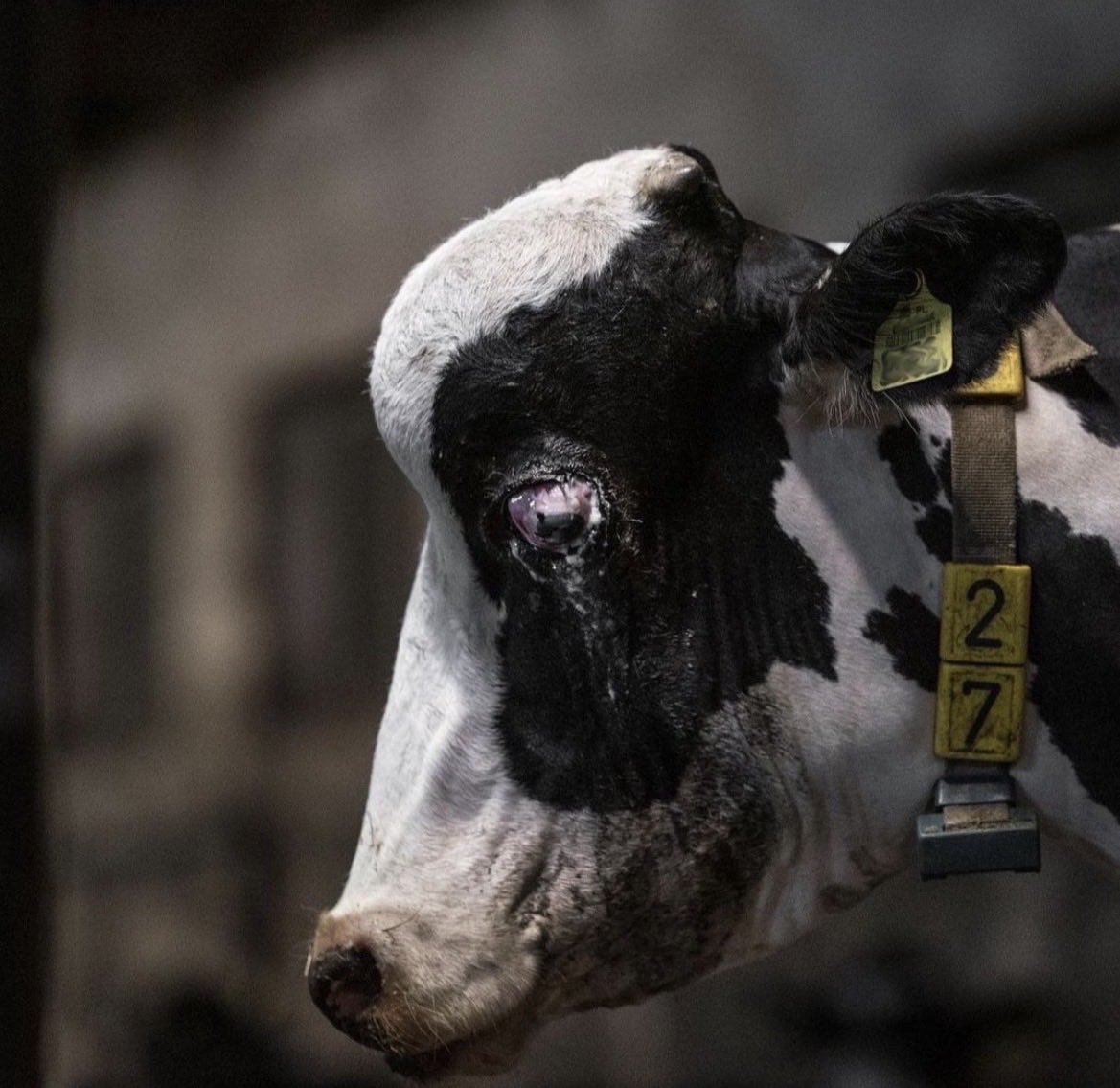 NothingIsArt tweet media