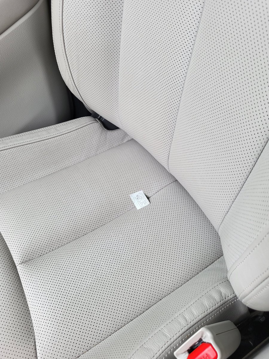 EternalMothman's tweet photo. Nervous about driving on my own today so im bringing juniper sloan the third to keep me company on the roads https://t.co/bBuKTRf7ND