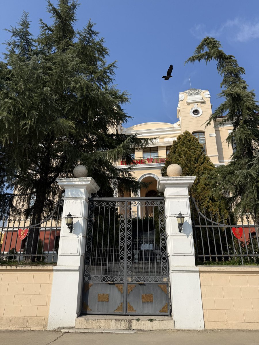 Cihat Arslan tweet media