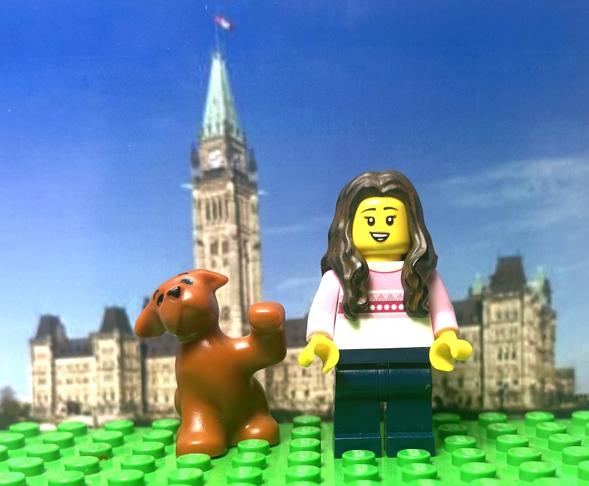 Poli LEGO tweet media