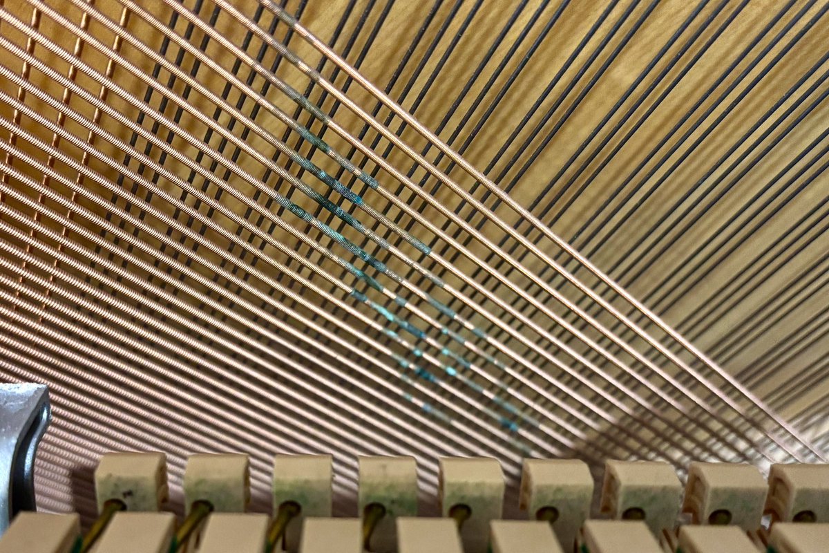 GoPianoTuning's tweet photo. Finding rodent damage in pianos isn’t uncommon. It’s usually mice, often chewing the action to make in to nests, but it was a rat this time. The keys and action have escaped serious problems but sadly the bass strings are corroded and now rattling so will all need replacing. https://t.co/7rGRzMRp2x