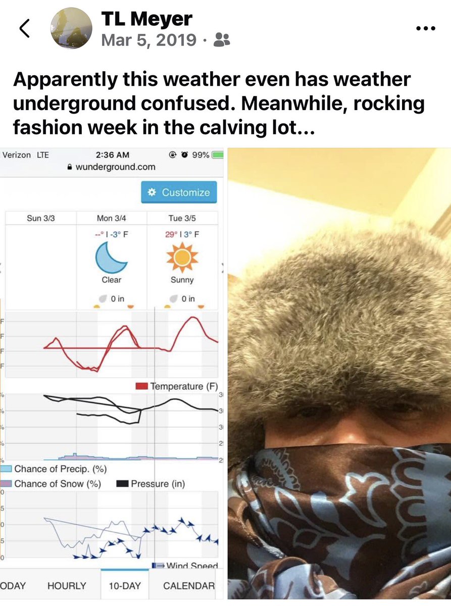 Central Sandhills Beef Educator tweet media