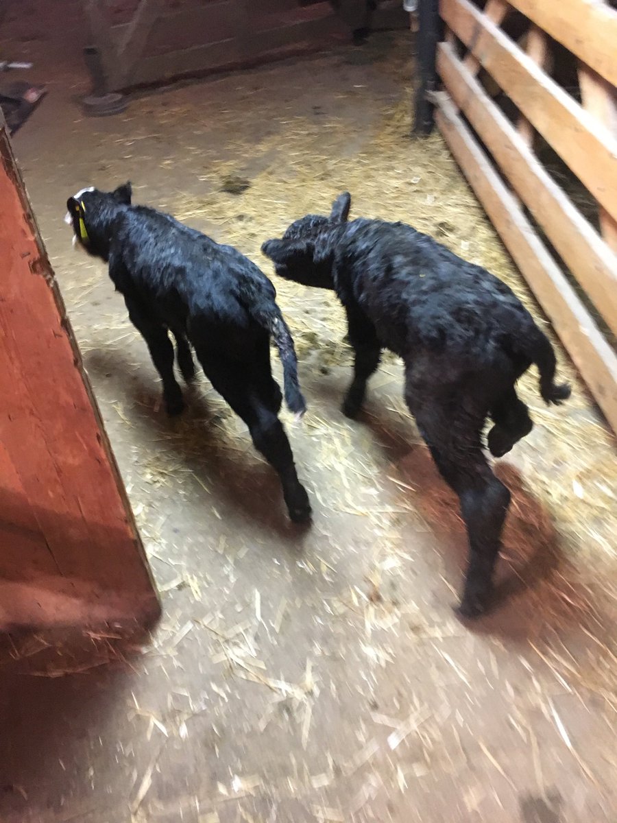 Central Sandhills Beef Educator tweet media