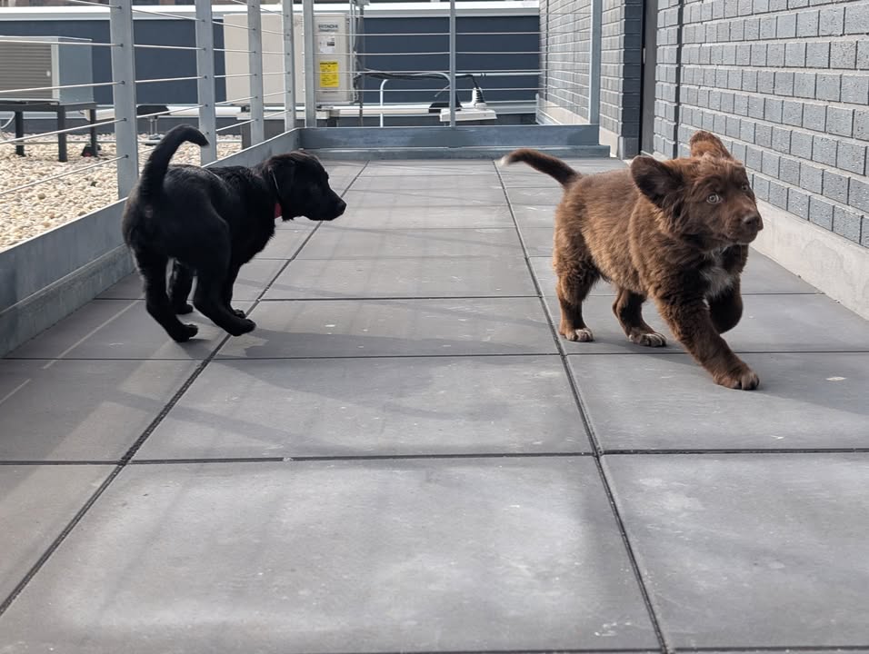 Landmark Credit Union Live tweet media