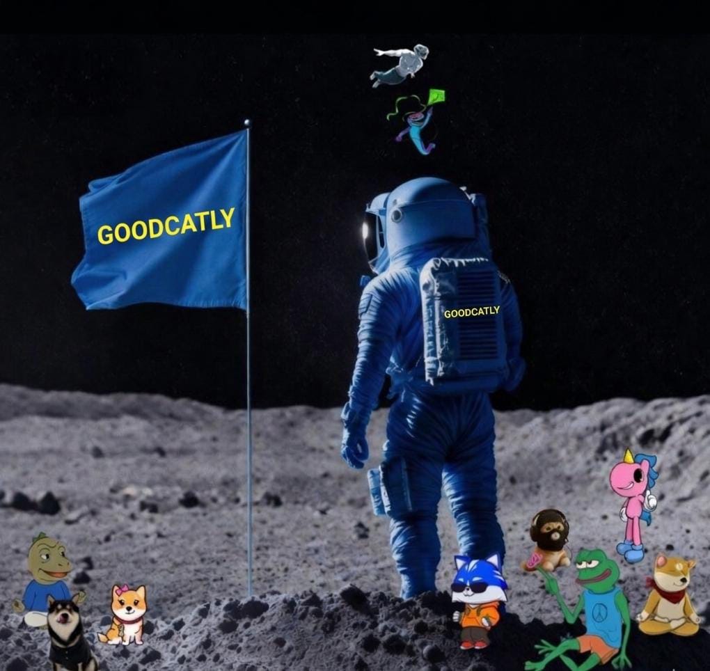 Position early and HODL your position before GOODCATLY picks up the moon flag 
Moon mission is already programmed 🚀