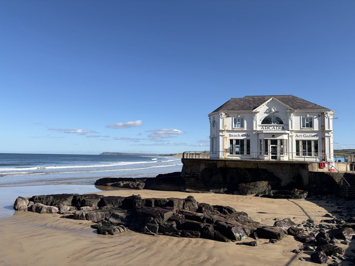 Tweeter of Wit tweet media