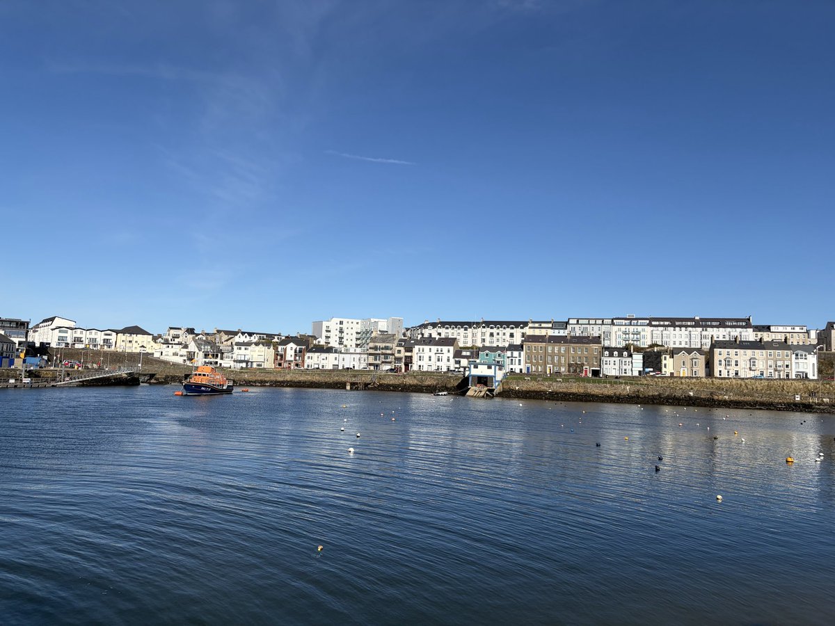 Tweeter of Wit tweet media