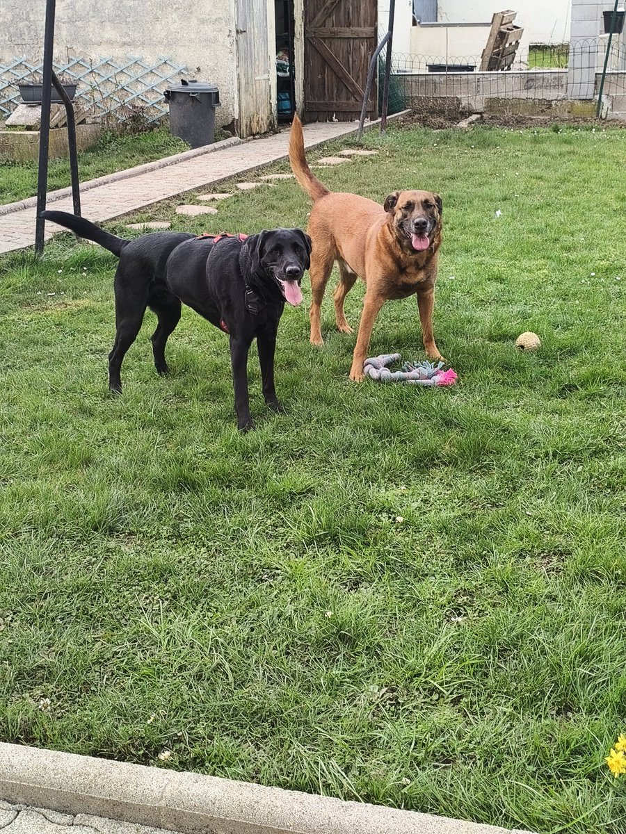 Pascha 🎀 tweet media