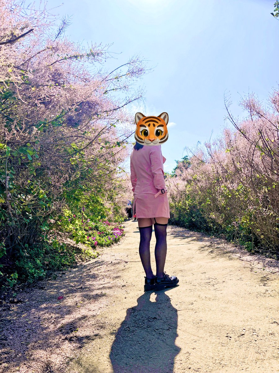 中部反差情侶~ tweet media