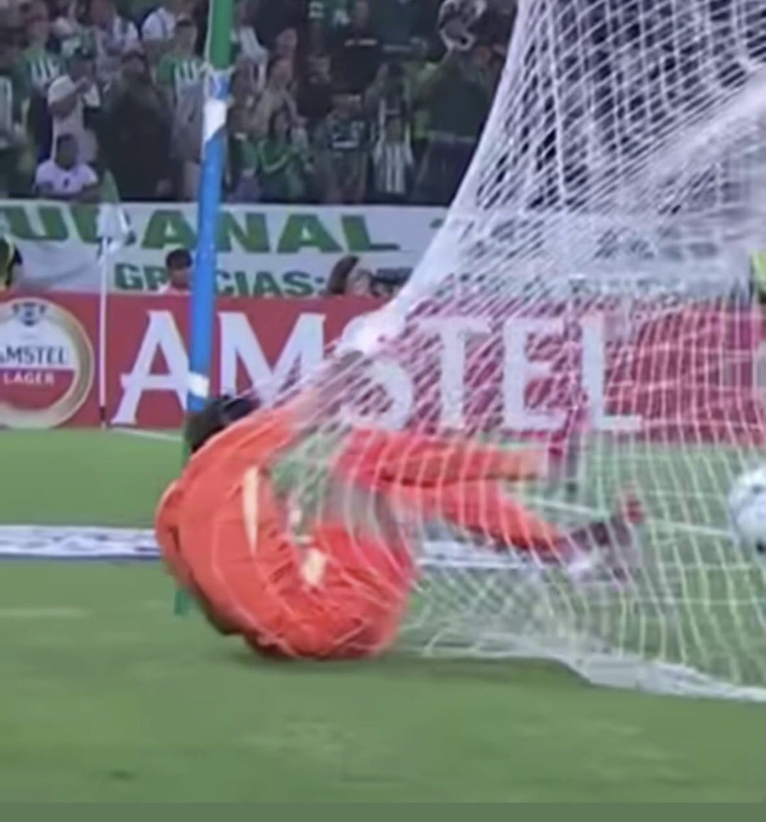 ¿dijiste metidos en el arco?