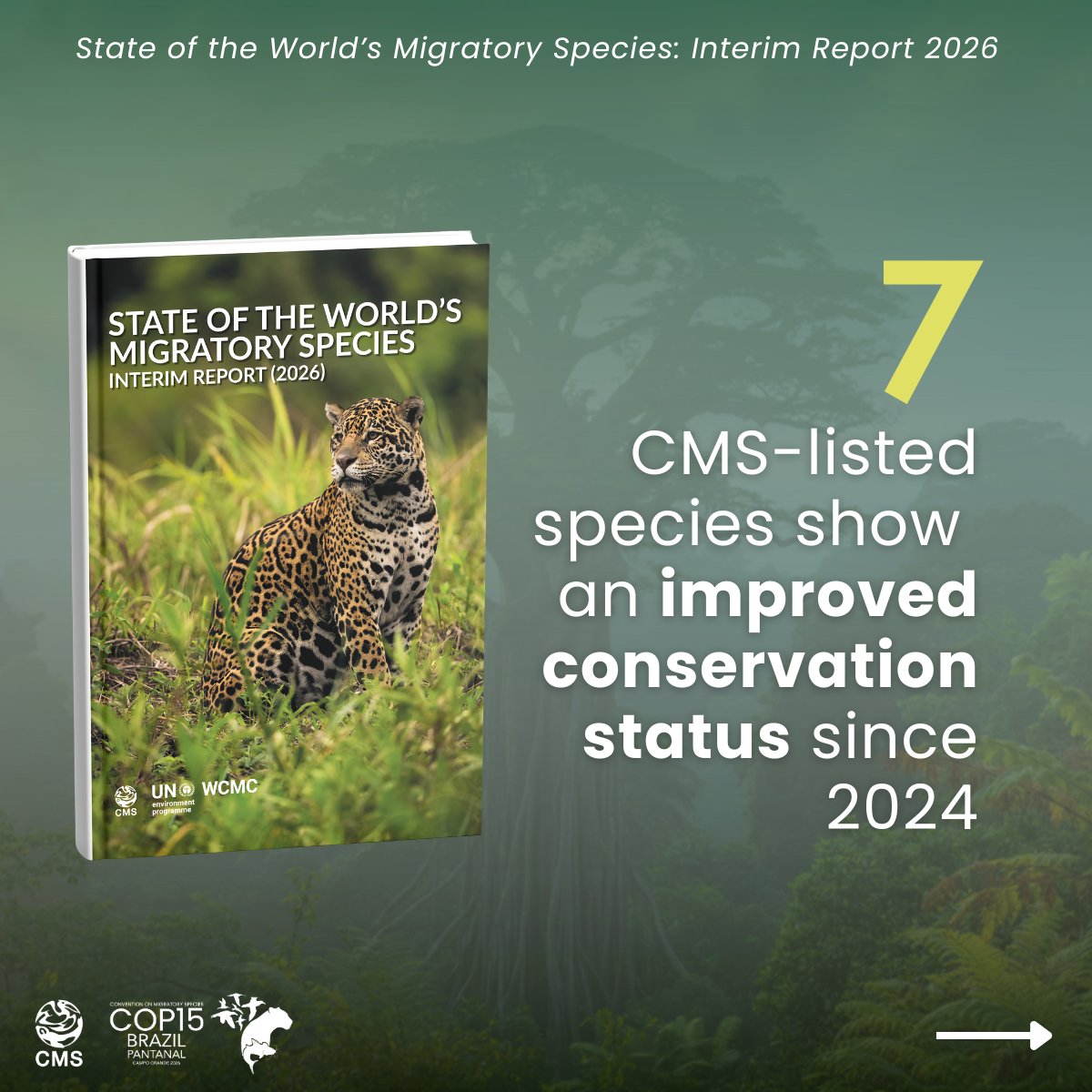 Convention on Migratory Species (CMS) tweet media